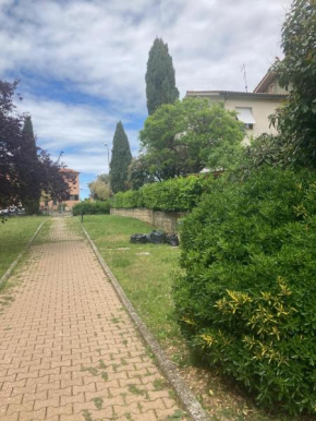 La Rosa della Val D'Orcia